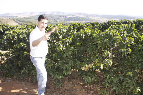 Relogio De Dali, Brazil